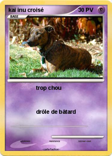 Pokemon kai inu croisé