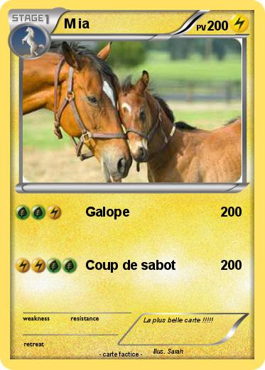 Pokemon M ia