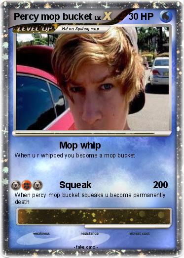 Pokemon Percy mop bucket