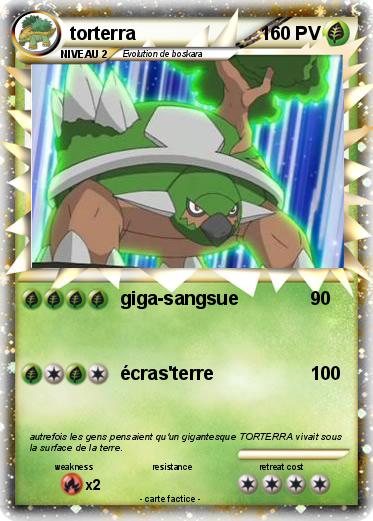Pokemon torterra