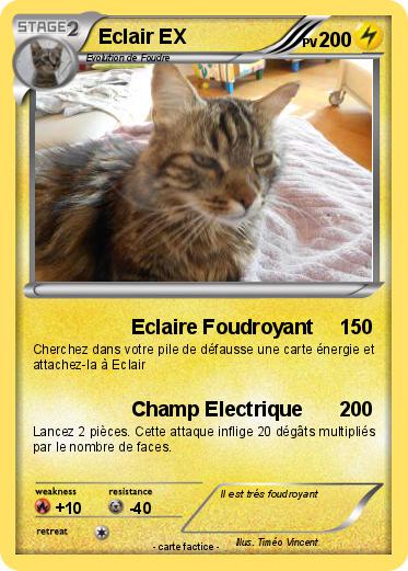 Pokemon Eclair EX