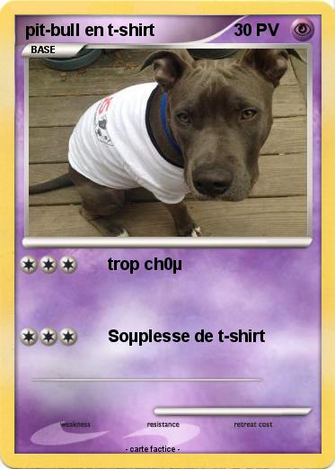 Pokemon pit-bull en t-shirt