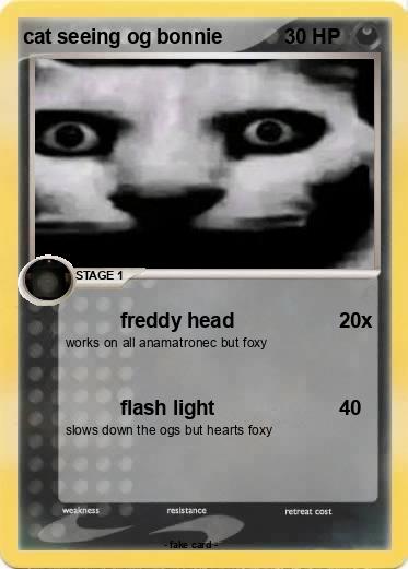 Pokemon cat seeing og bonnie