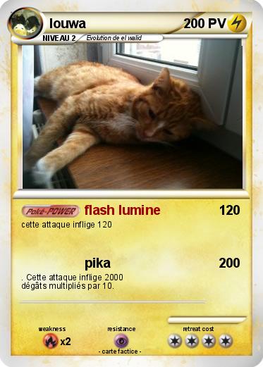 Pokemon louwa