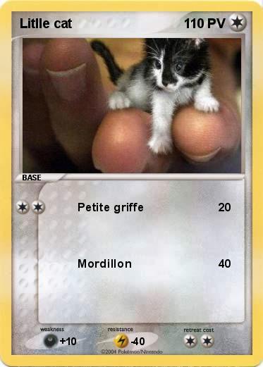 Pokemon Litlle cat