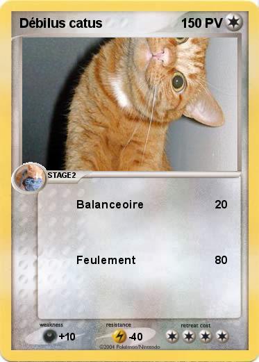 Pokemon Débilus catus