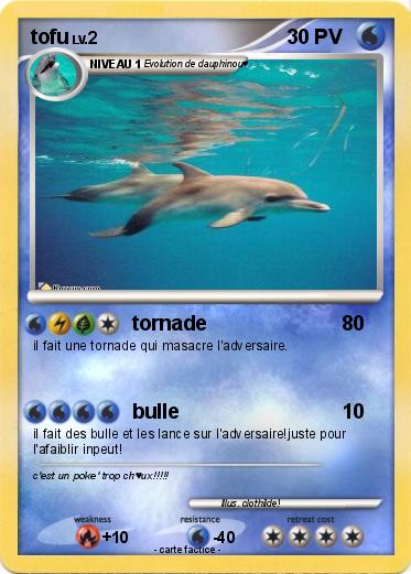 Pokemon tofu
