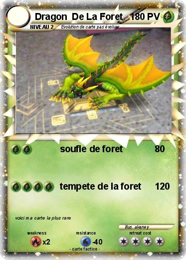 Pokemon Dragon  De La Foret