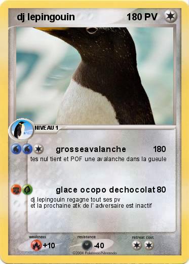 Pokemon  dj lepingouin                    1