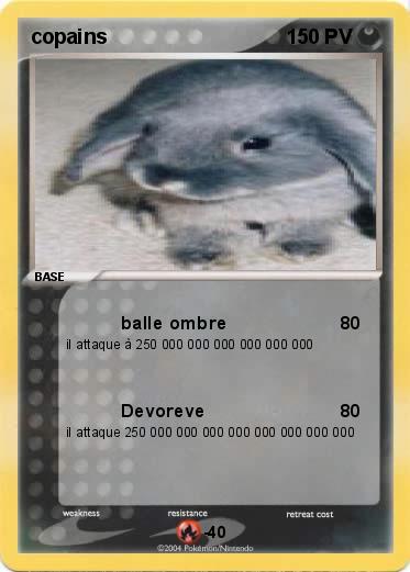 Pokemon copains