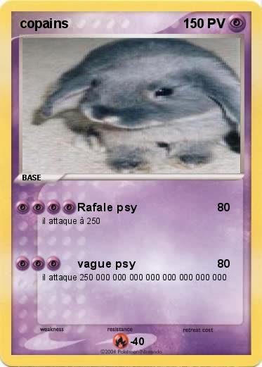 Pokemon copains