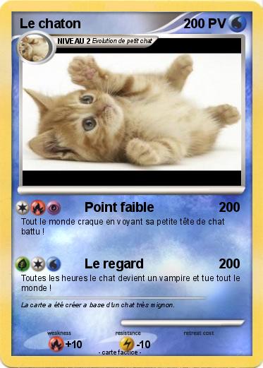 Pokemon Le chaton