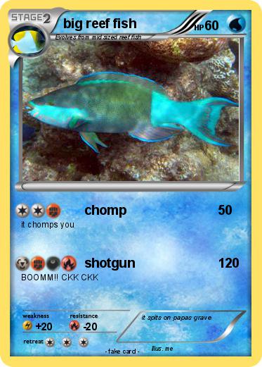 Pokemon big reef fish