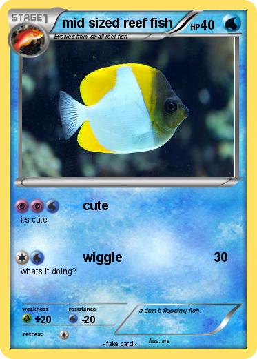 Pokemon mid sized reef fish