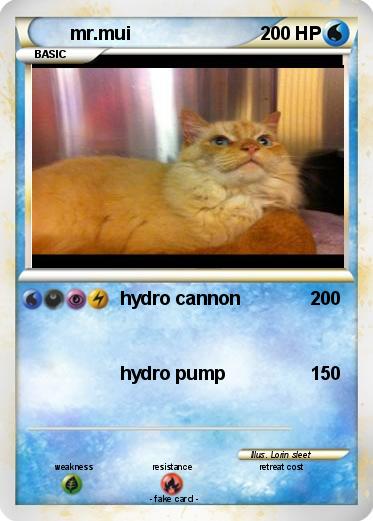 Pokemon mr.mui