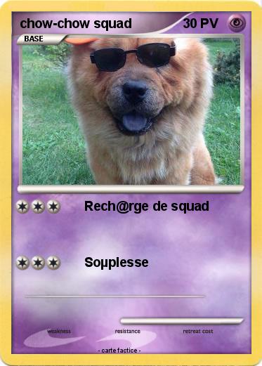 Pokemon chow-chow squad