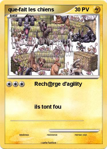 Pokemon que-fait les chiens