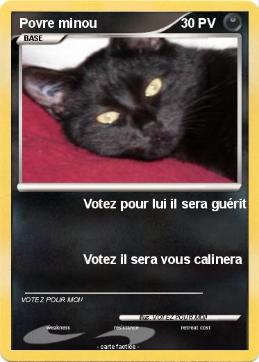 Pokemon Povre minou