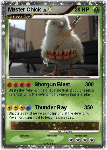 Pokemon Master Chick
