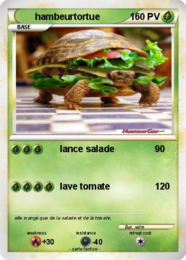 Pokemon hambeurtortue