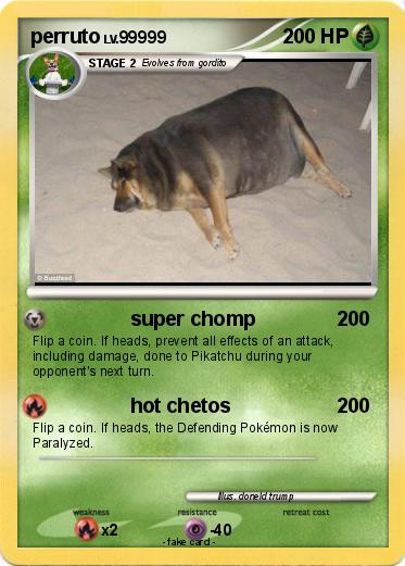 Pokemon perruto