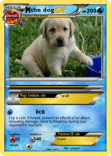 Pokemon the dog