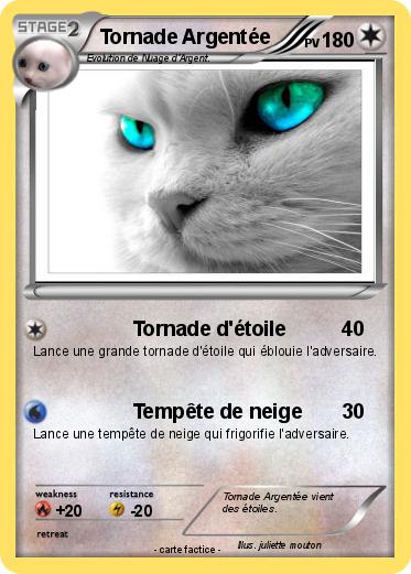 Pokemon Tornade Argentée