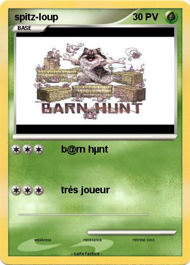 Pokemon spitz-loup