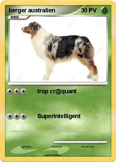 Pokemon berger australien