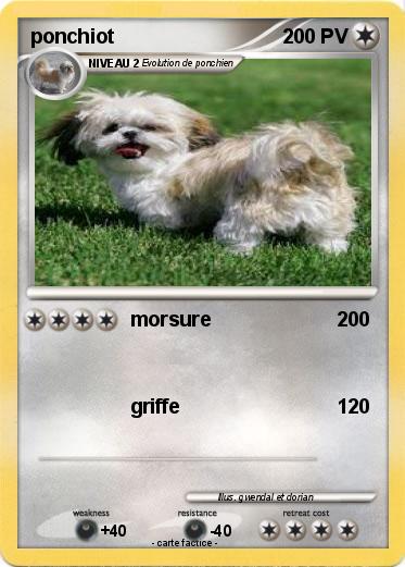 Pokemon ponchiot