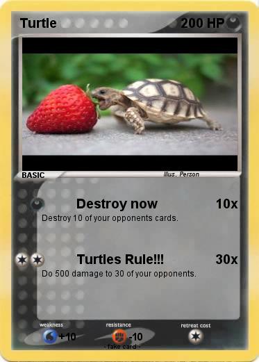 Pokemon Turtle