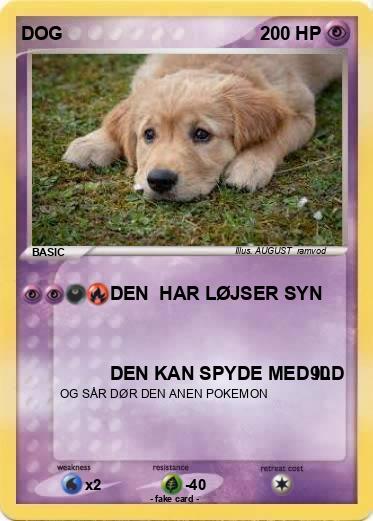 Pokemon DOG