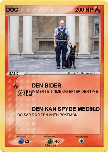 Pokemon DOG