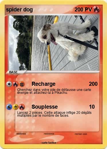 Pokemon spider dog