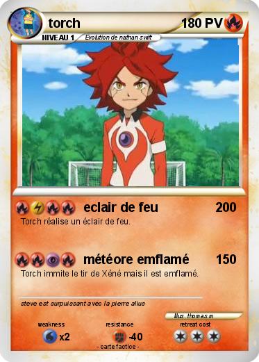 Pokemon torch
