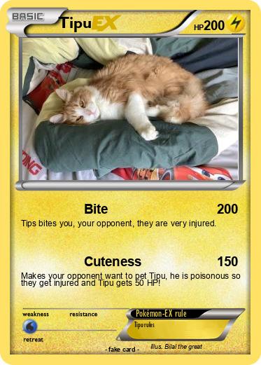 Pokemon Tipu