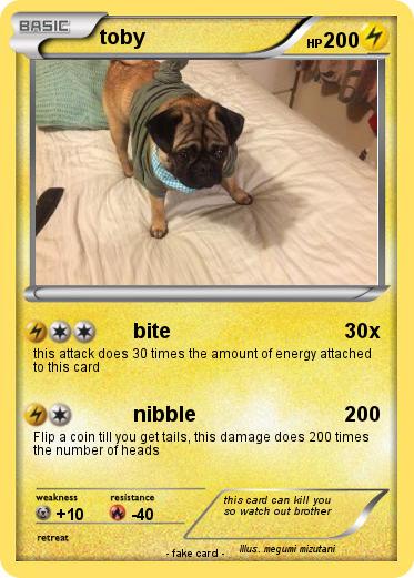 Pokemon toby