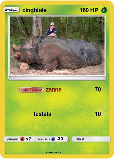 Pokemon cinghiale