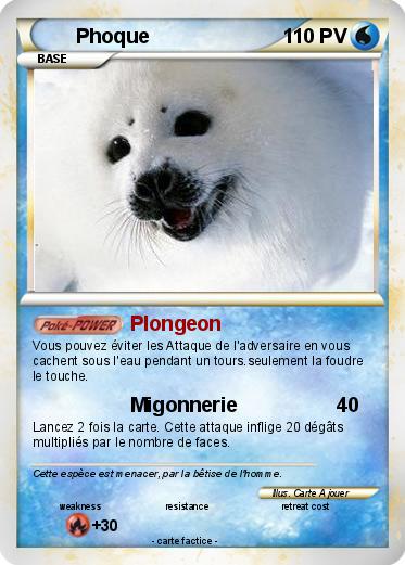 Pokemon Phoque