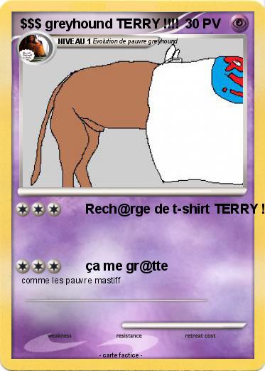 Pokemon $$$ greyhound TERRY !!!!