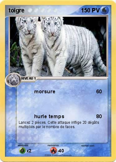 Pokemon toigre