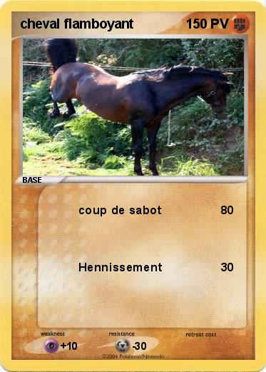 Pokemon cheval flamboyant