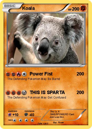 Pokemon Koala