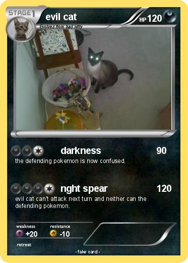 Pokemon evil cat