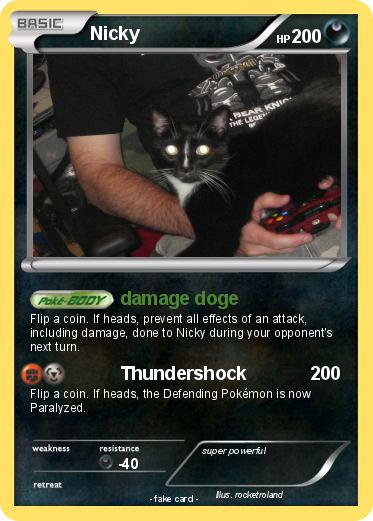Pokemon Nicky
