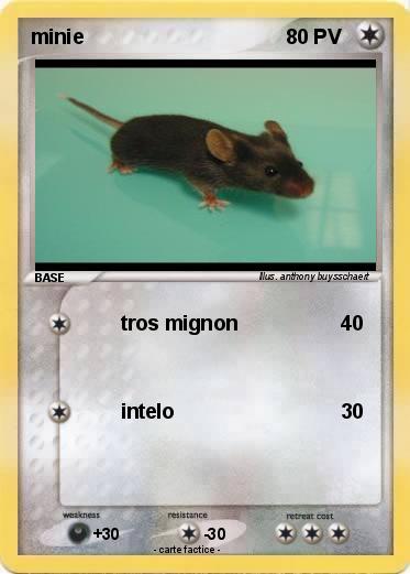 Pokemon minie