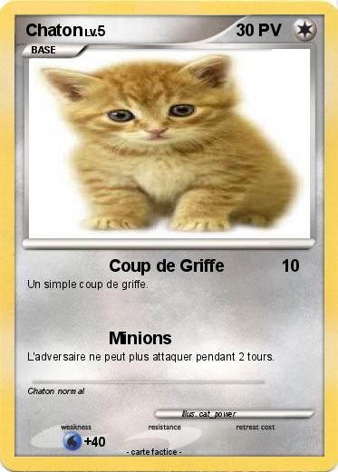 Pokemon Chaton