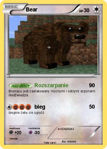 Pokemon Bear