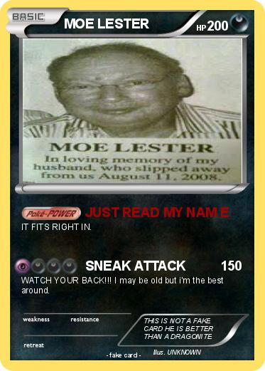 Pokemon MOE LESTER