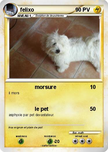 Pokemon felixo